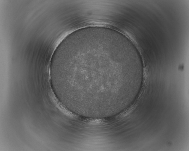 X0000113630891200910021849