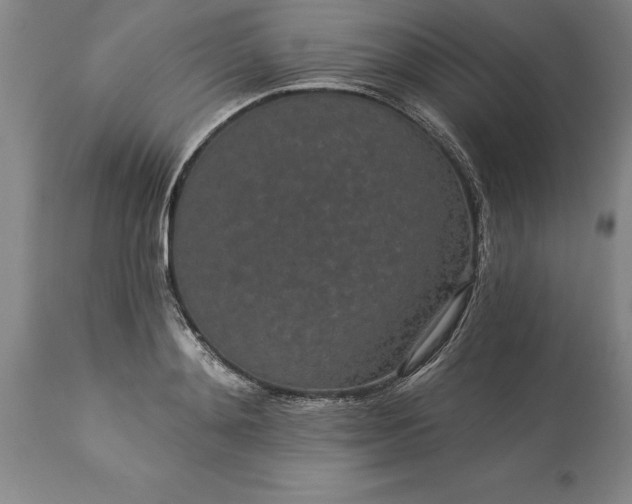 X0000113630892200910021849