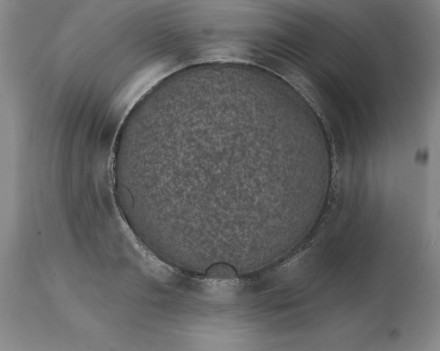 X0000113630893200910021849
