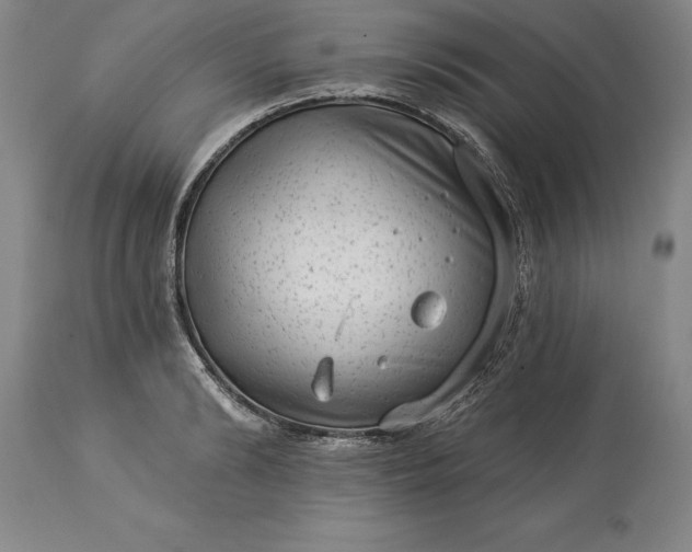 X0000113630894200910021849