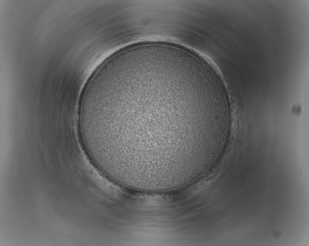 X0000113630895200910021849