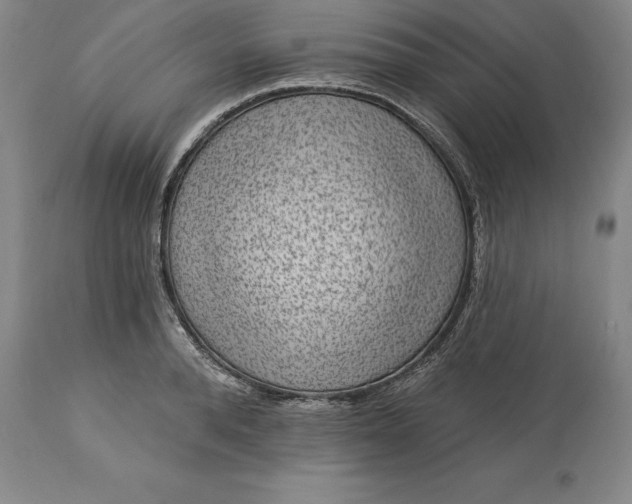 X0000113630896200910021849