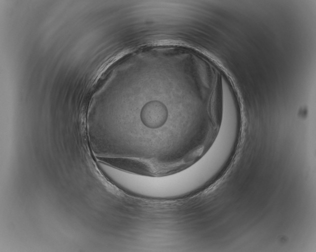 X0000113630897200910021849