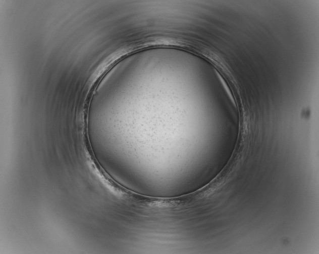 X0000113630898200910021849