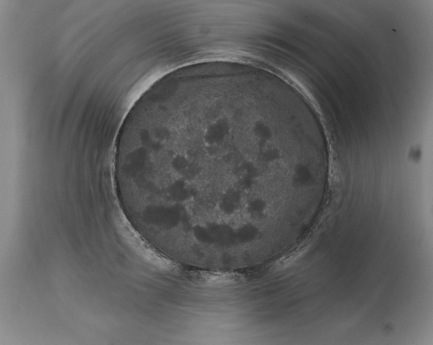 X0000113630899200910021849