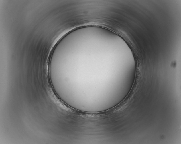 X0000113630900200910021849