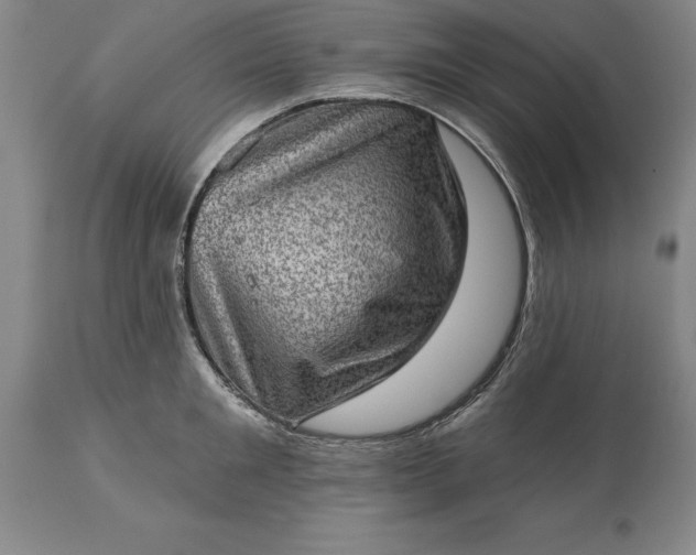 X0000113630901200910021849