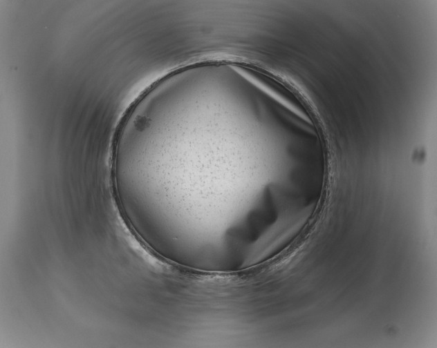 X0000113630902200910021849