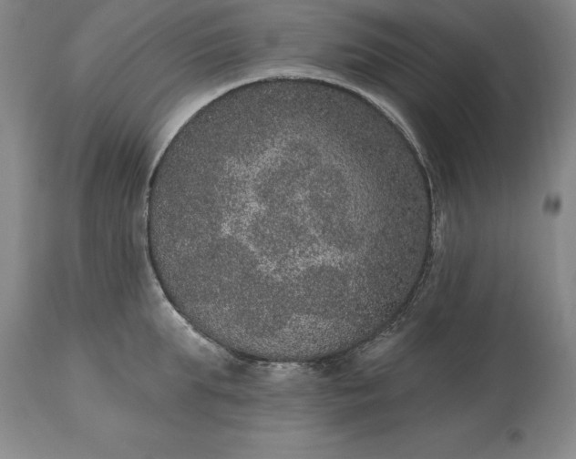 X0000113630903200910021849