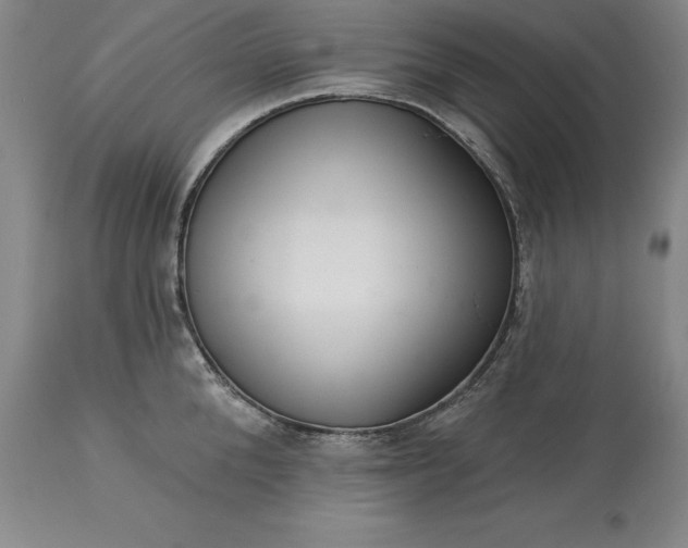 X0000113630904200910021849