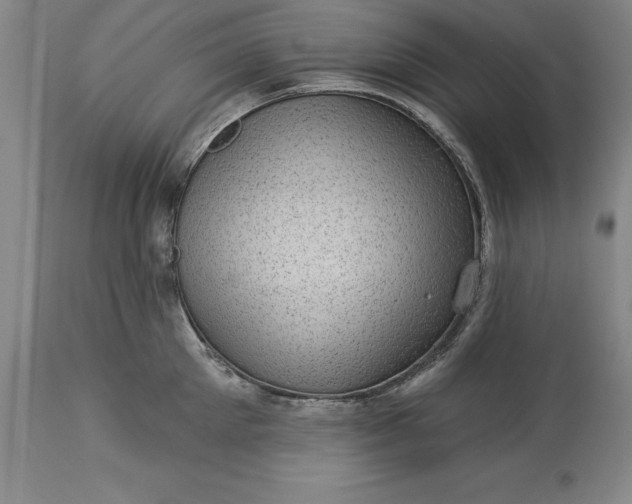 X0000113630905200910021849