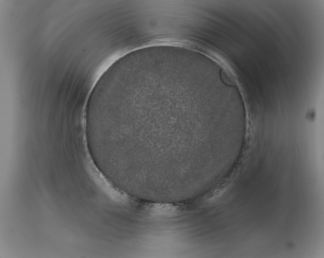 X0000113630907200910021849