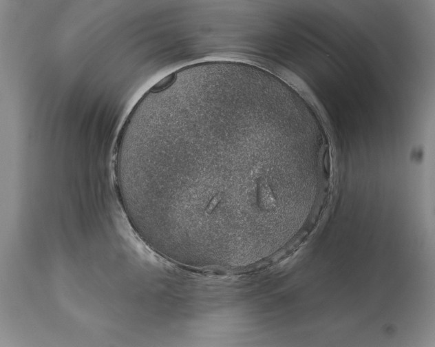 X0000113630908200910021849