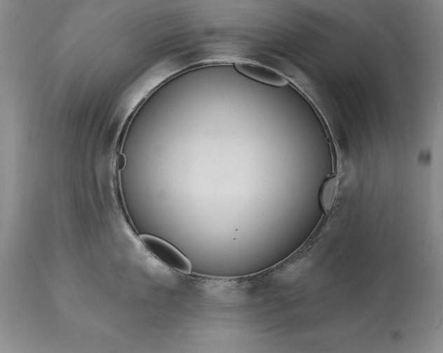 X0000113630909200910021849