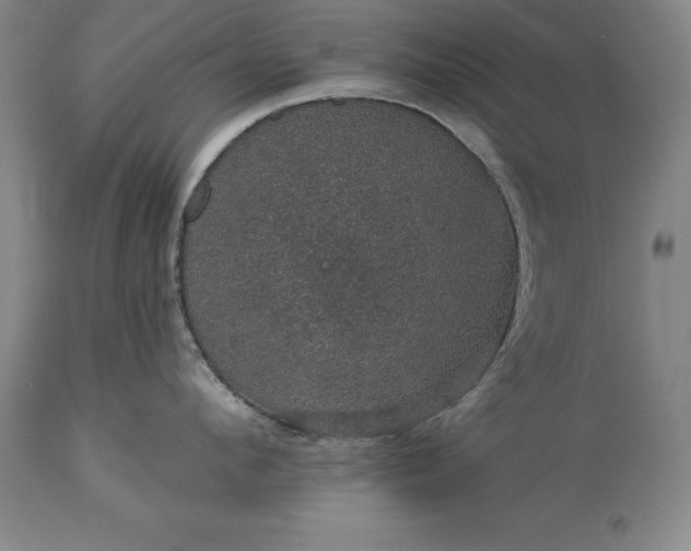 X0000113630912200910021849