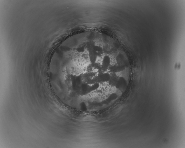 X0000113630913200910021848