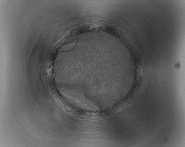 X0000113630914200910021848