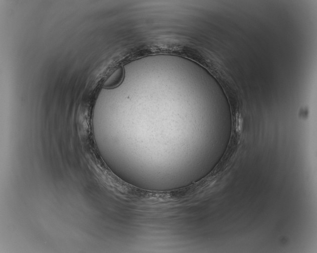 X0000113630915200910021848
