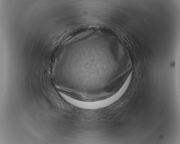 X0000113630916200910021848
