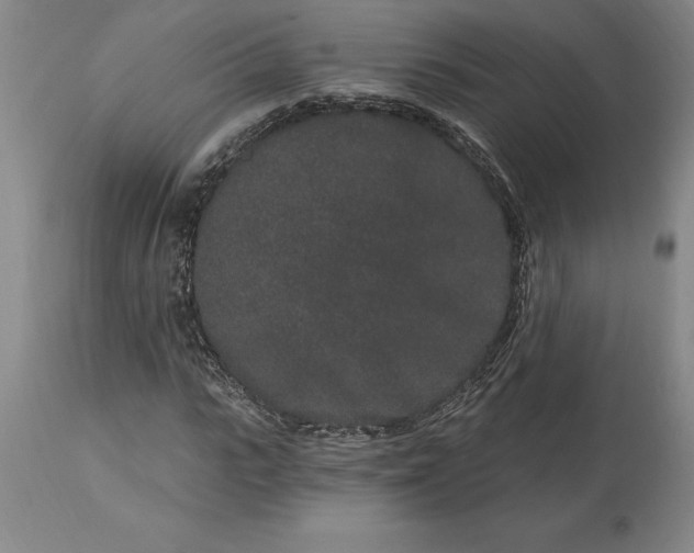 X0000113630919200910021848