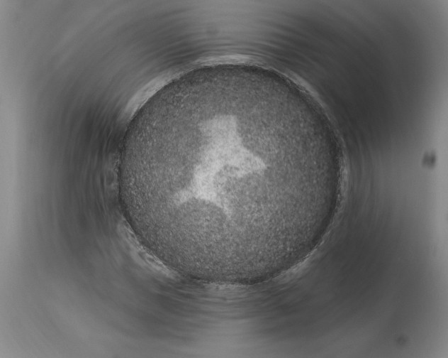 X0000113630921200910021849