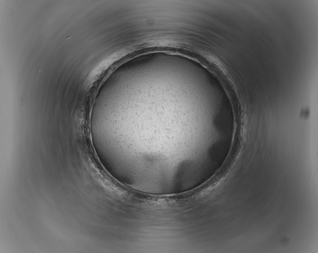 X0000113630922200910021849