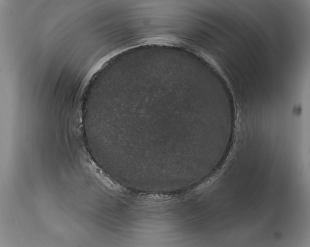 X0000113630923200910021849