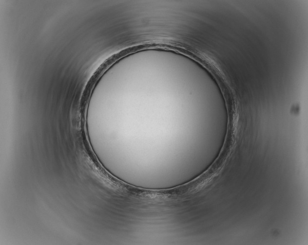 X0000113630924200910021849