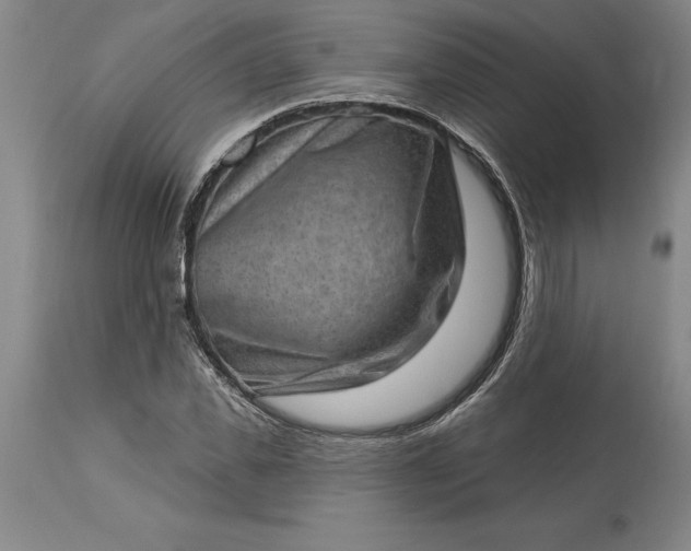 X0000113630925200910021849