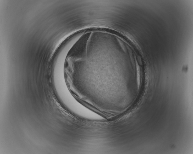 X0000113630926200910021849