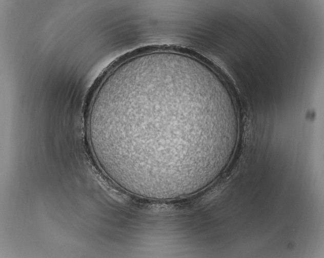 X0000113630927200910021849
