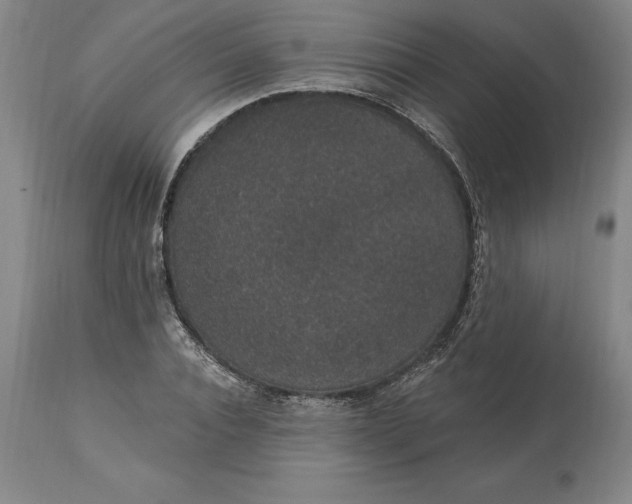 X0000113630928200910021849