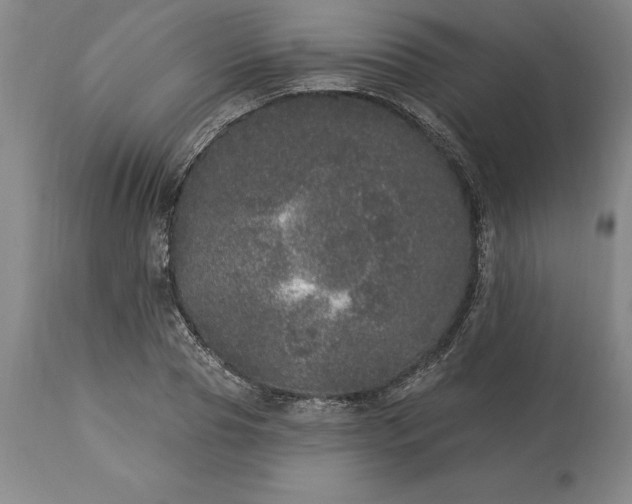 X0000113630929200910021849