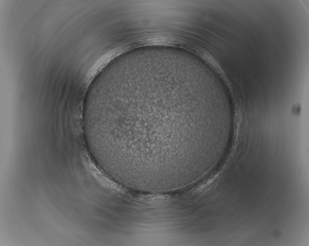 X0000113630930200910021849