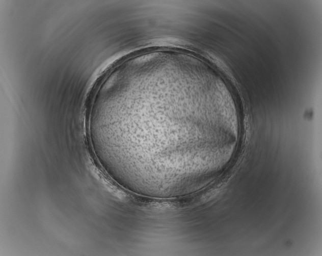 X0000113630931200910021849