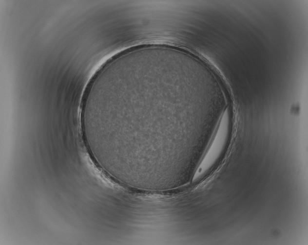X0000113630932200910021849