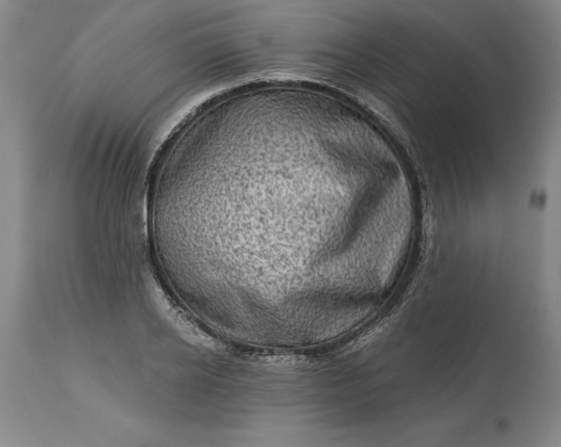 X0000113630934200910021849