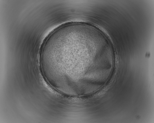 X0000113630935200910021849
