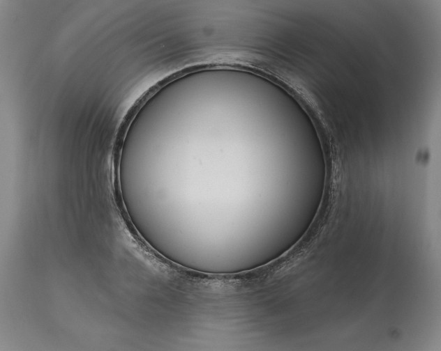 X0000113630936200910021849