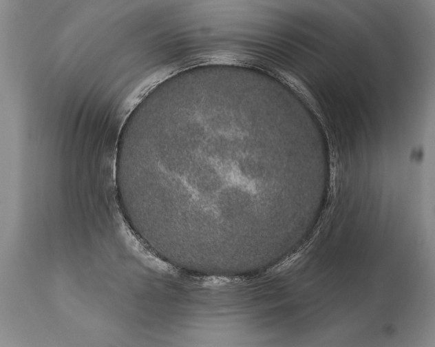X0000113630938200910021849