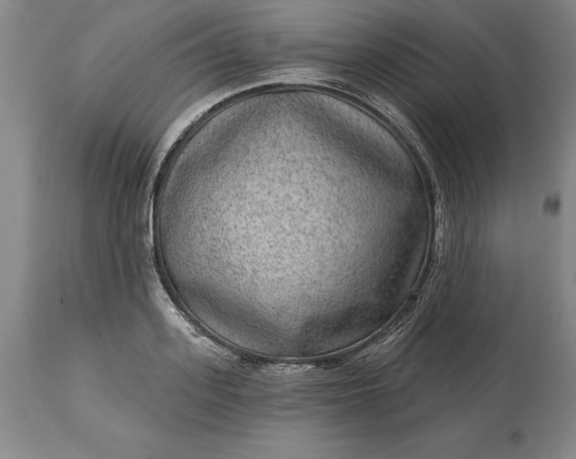 X0000113630939200910021849