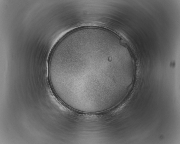X0000113630940200910021849