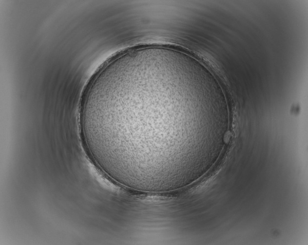 X0000113630942200910021849