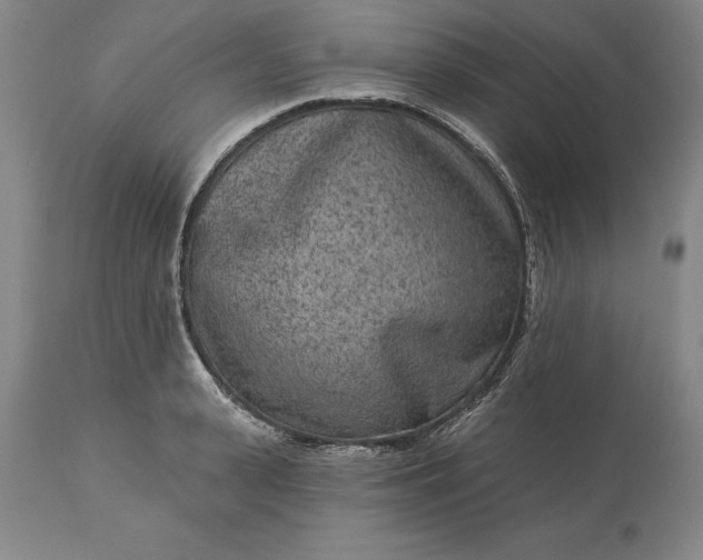 X0000113630943200910021849
