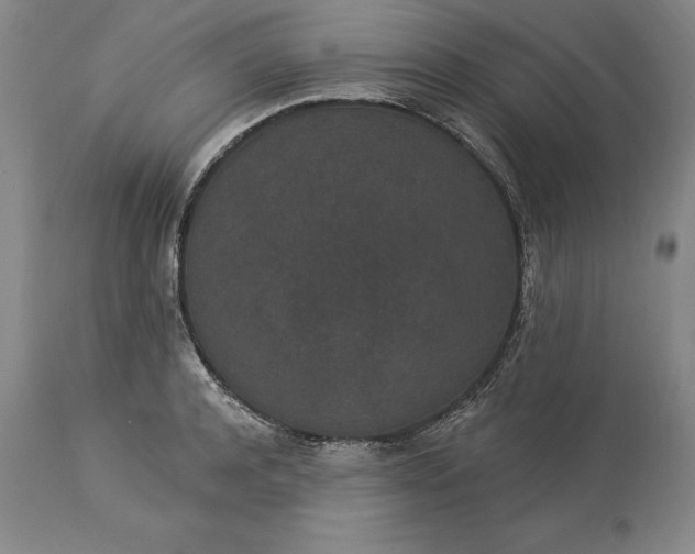 X0000113630944200910021849