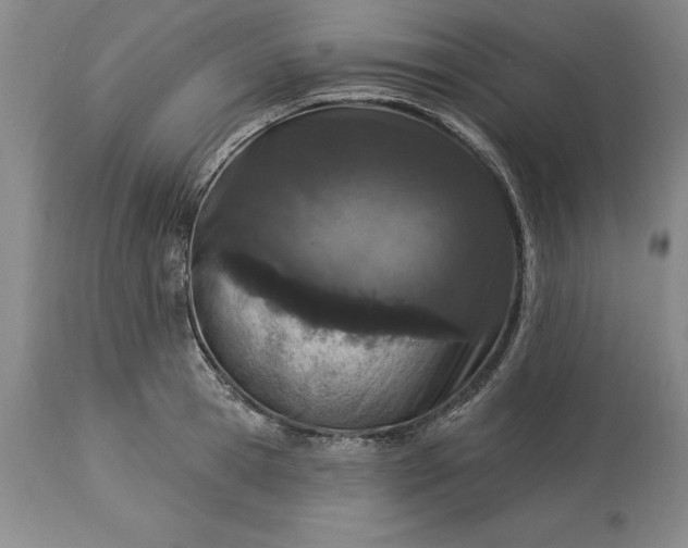 X0000113630945200910021849