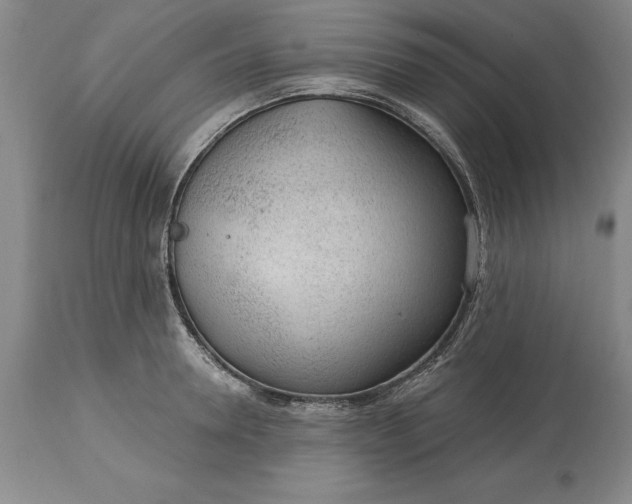 X0000113630946200910021849