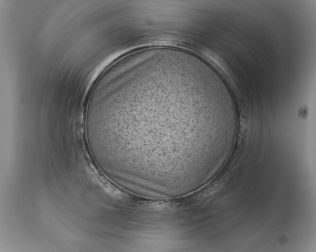 X0000113630948200910021849
