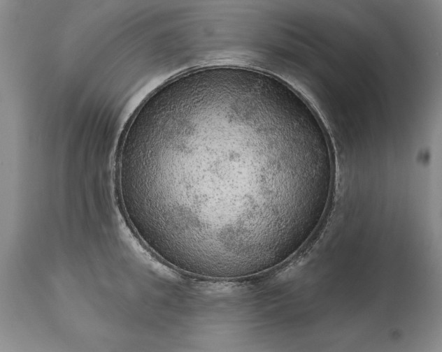 X0000113630949200910021849