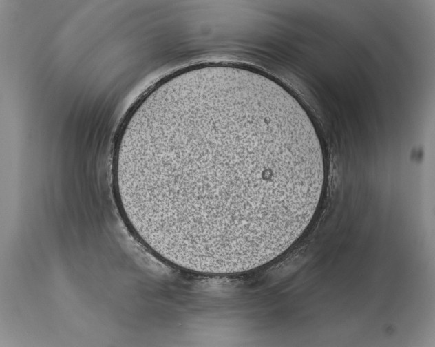X0000113630950200910021849